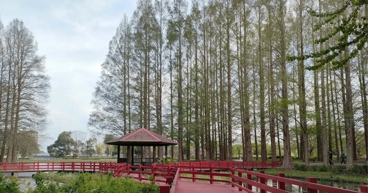 Kitamoto General Park is a park where 'climbing ability' grows rapidly ...