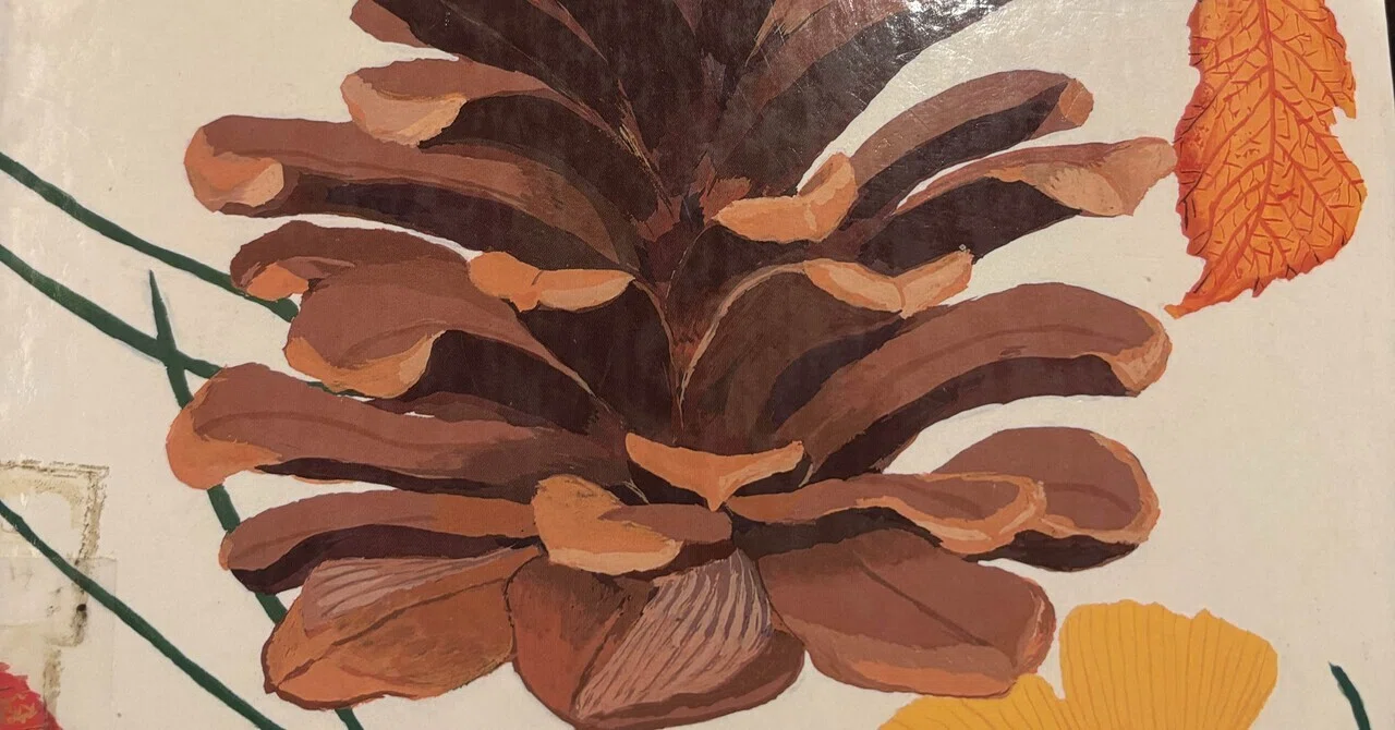 I read the picture book 'Surprising Pinecones' and tried it out right ...