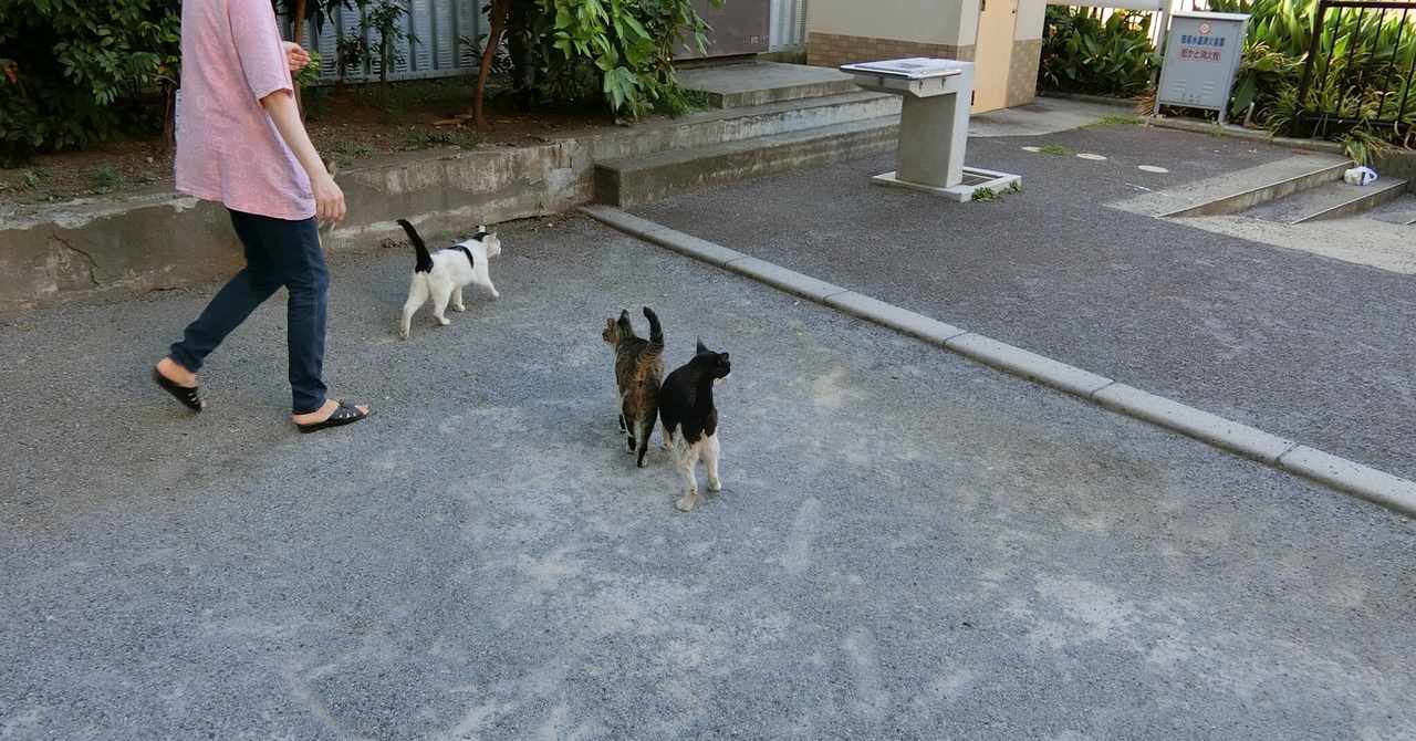うーたん の新着タグ記事一覧 Note つくる つながる とどける