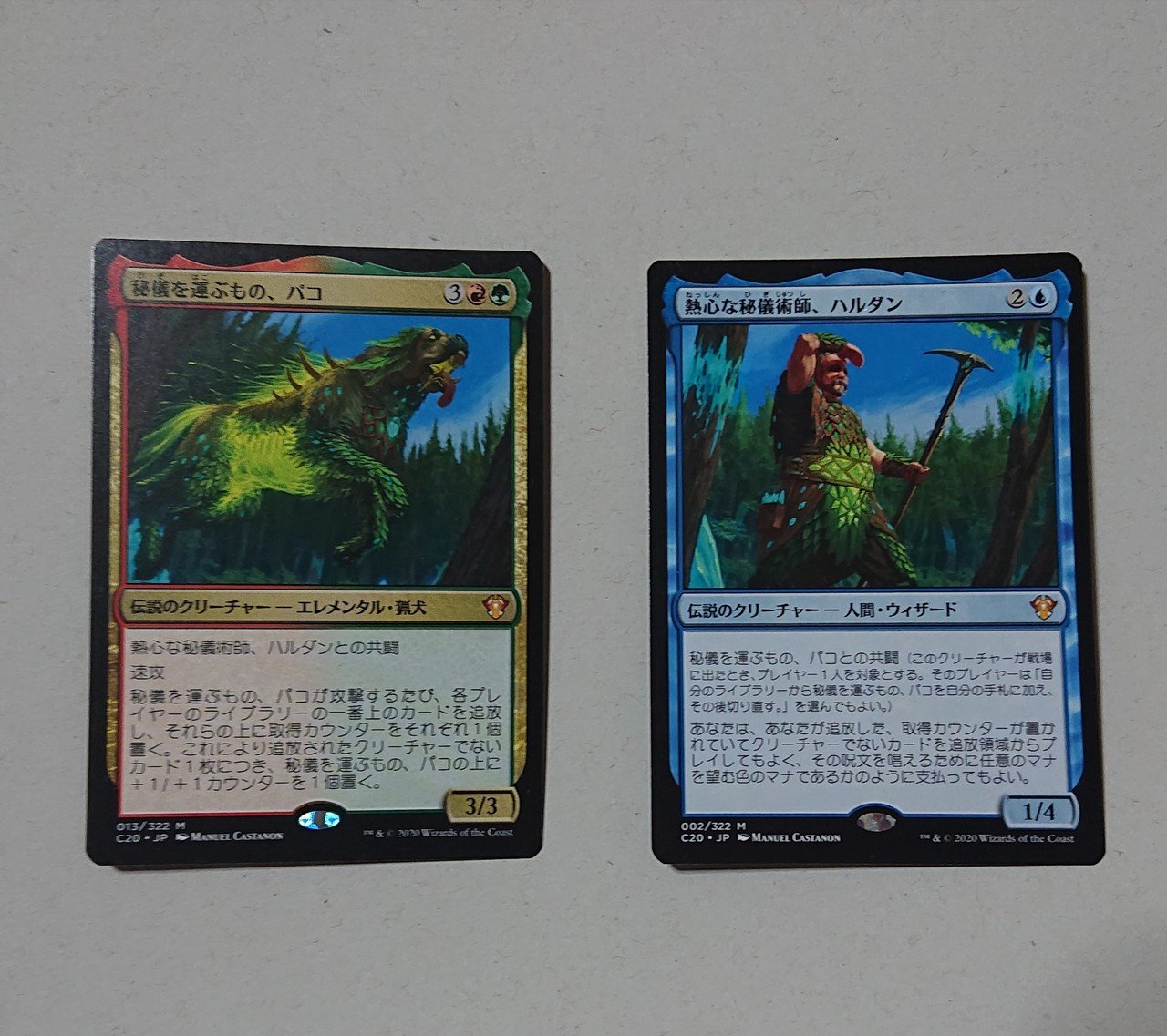 MTG統率者デッキ紹介「秘儀を運ぶもの、パコ」と「熱心な秘儀術師