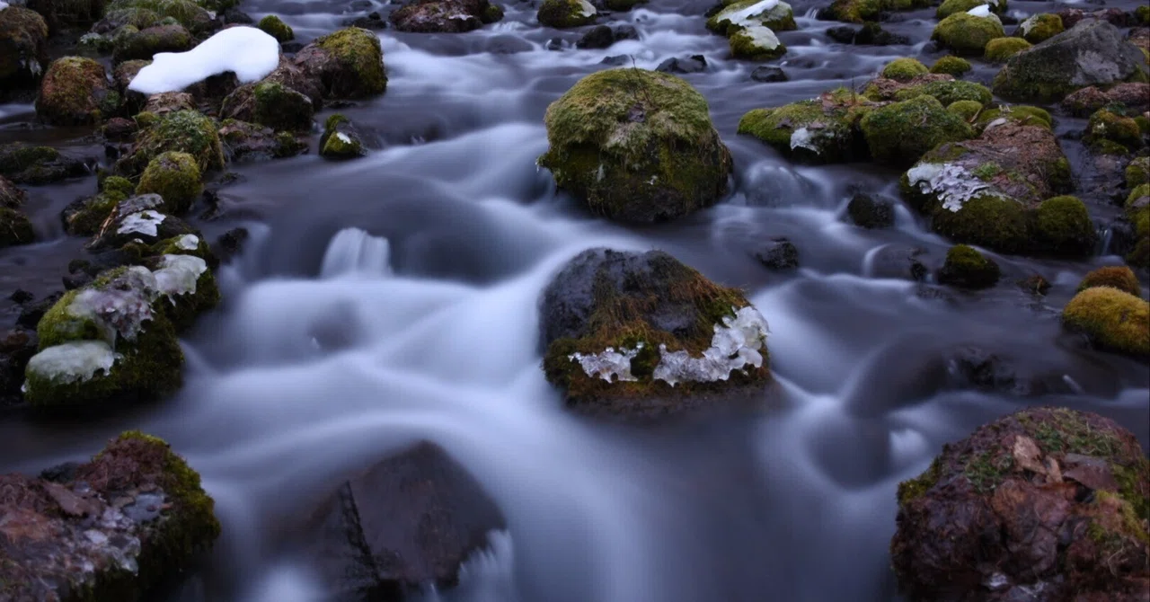 Photographing waterfalls inspired me to properly learn about cameras!｜zebra