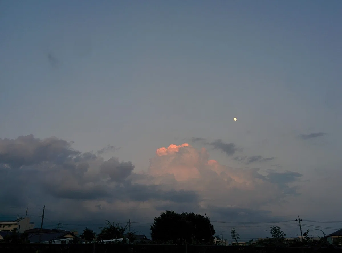 画像205