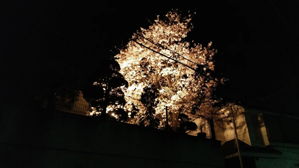 画像159