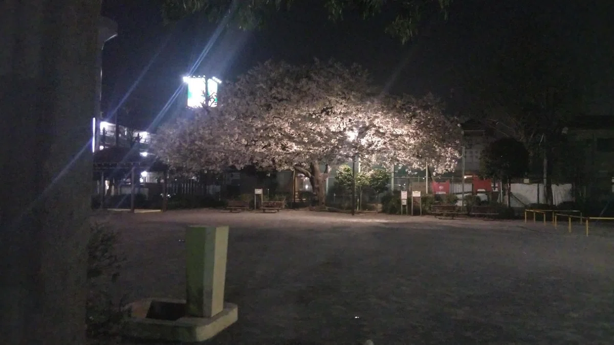 画像155
