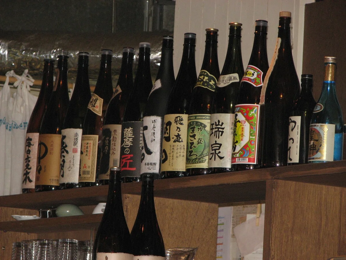 画像229