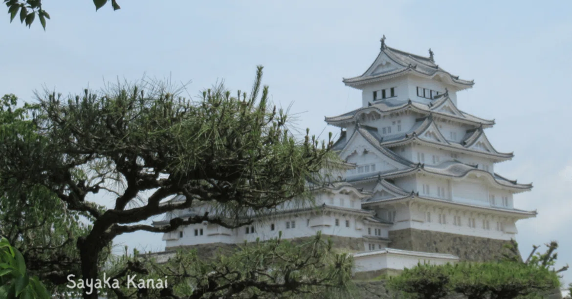 [The Road to World Heritage Certification] Today's World Heritage Site ...