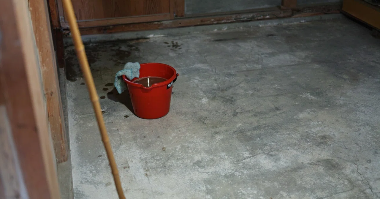 🪣 Washing a mop is such a hassle that I only damp-mop the floor once a ...