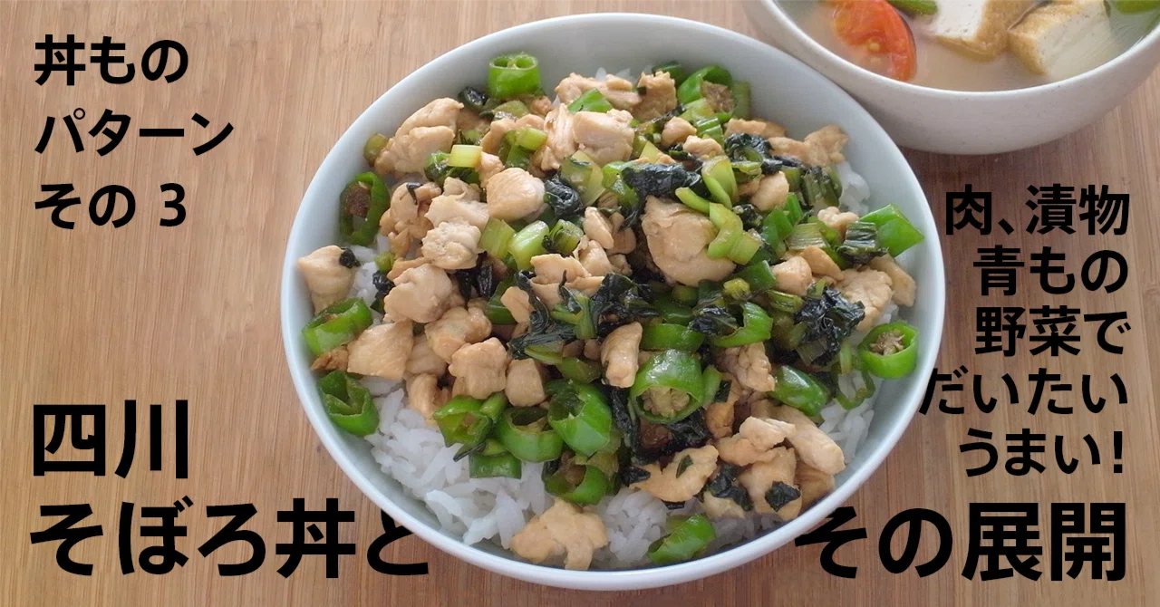 Pattern And Balance Sichuan Soboro Bowl and its Variations (Donburi Pattern No. 3)|ツジメシ