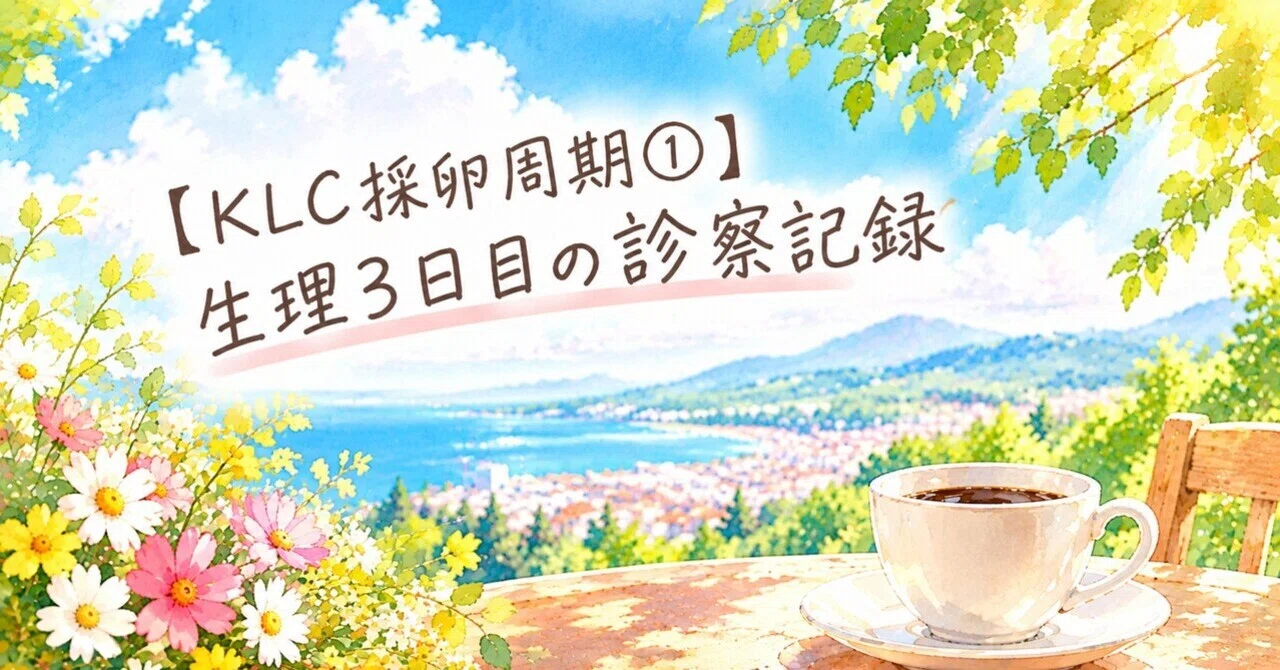 [KLC Egg Retrieval Cycle 1] Day 3 of Menstrual Cycle Consultation ...