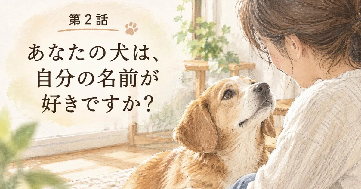 Doe Names Episode 2: Does your dog like their own name?|ハッピーテイル|犬と人の幸せな暮らし