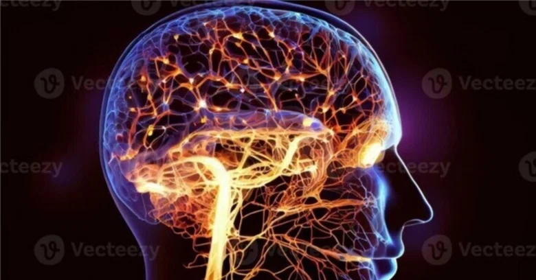 The True Nature of 'Natural Intelligence': Common Traits of 'Truly ...