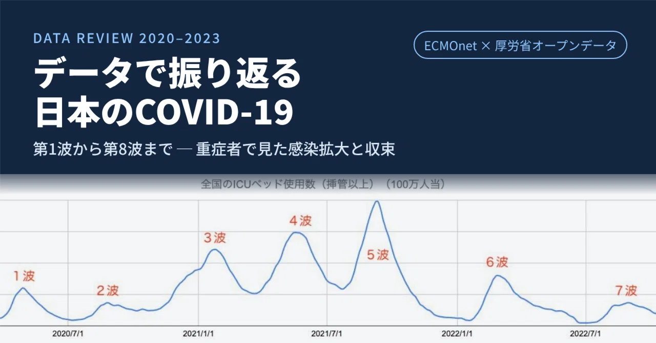 Looking Back at COVID-19 in Japan Through Data: From the 1st to the 8th ...