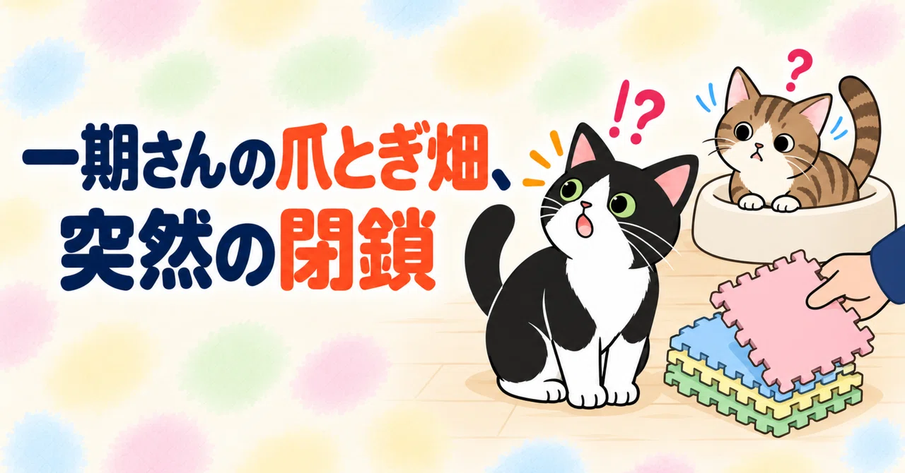 Ichigo's Scratching Field, Suddenly Closed｜遊間