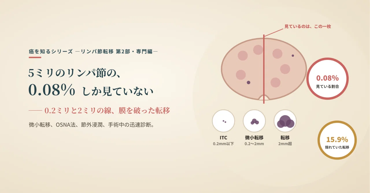 [Part 2] Looking at only 0.08% of a 5mm lymph node — 0.2mm and 2mm ...