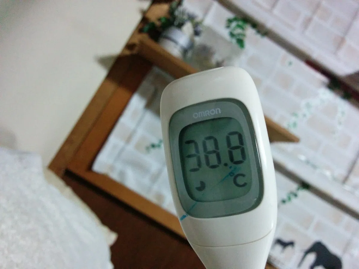 画像256