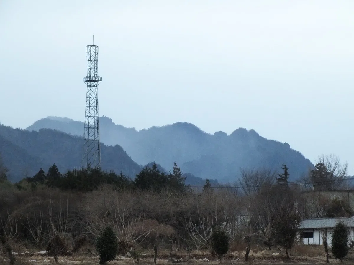 画像296