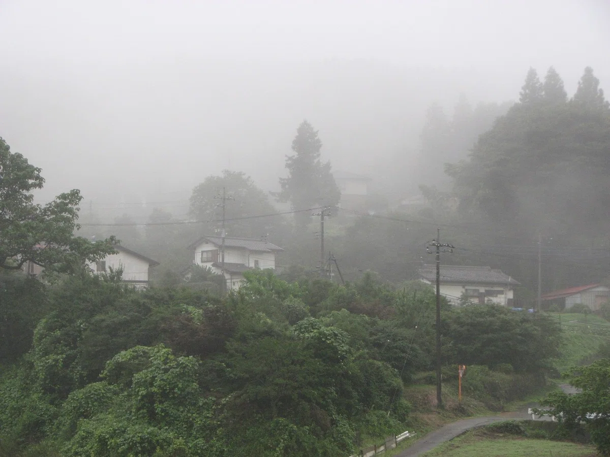 画像305