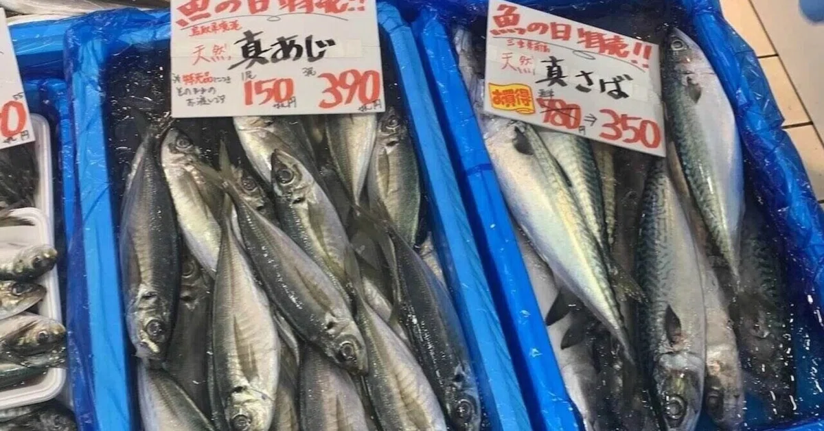 [The Roots of a Sendai Handyman] 23 years as a former fishmonger ...