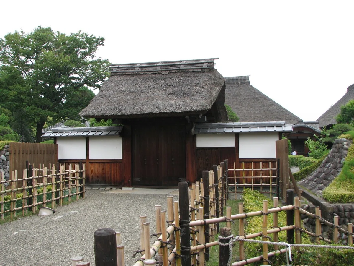画像308