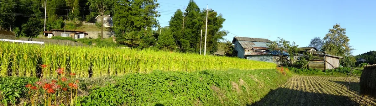 画像304