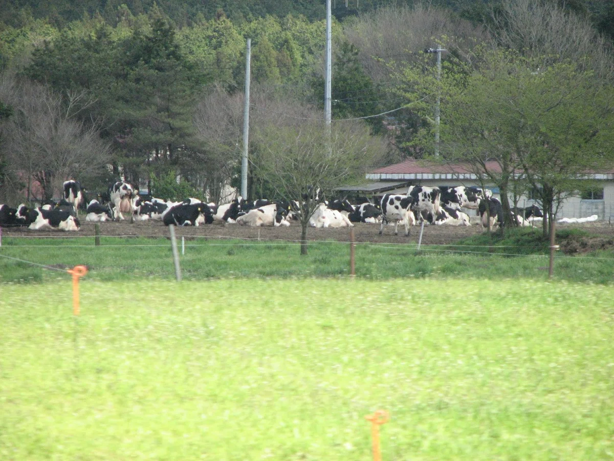 画像311