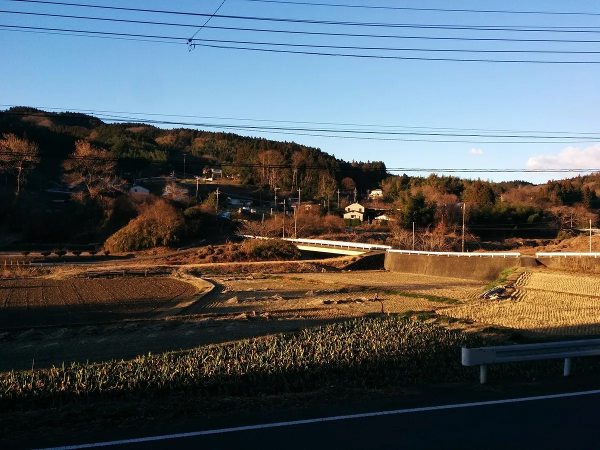 画像274