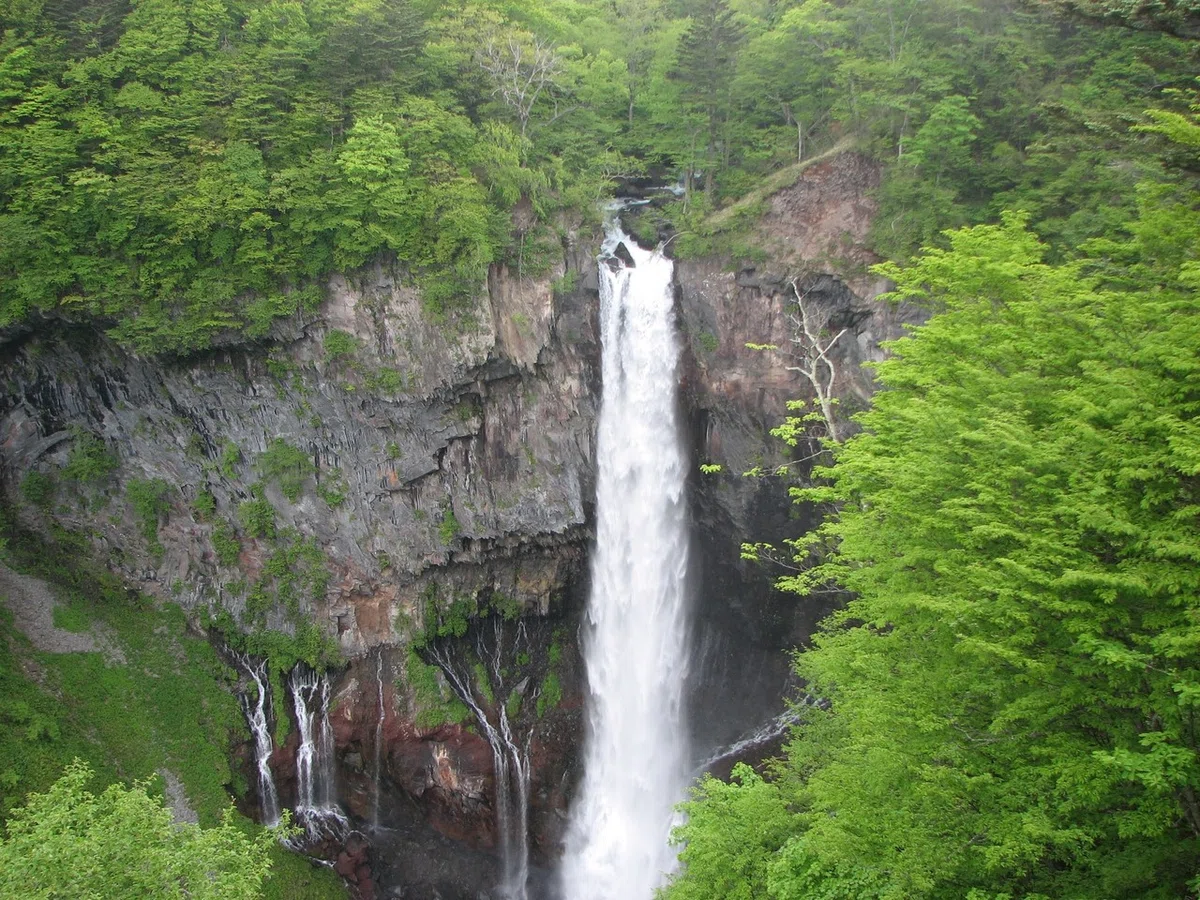 画像336