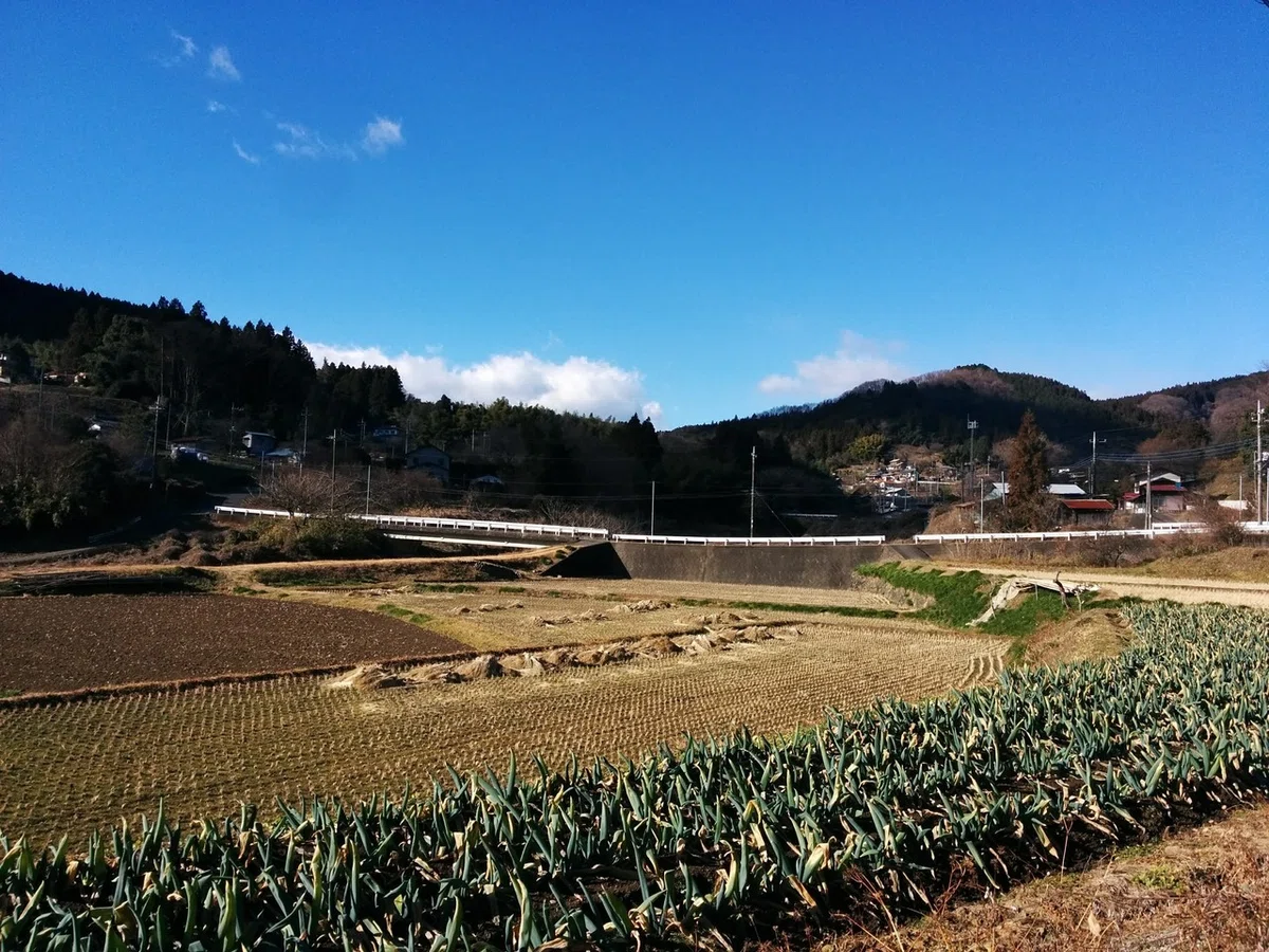 画像270