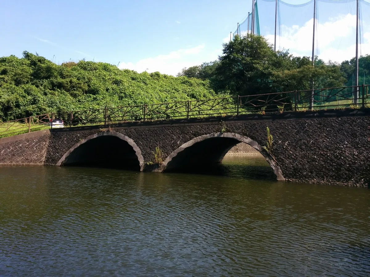 画像249