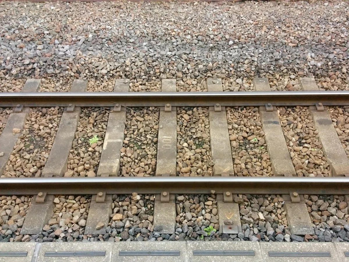 画像278