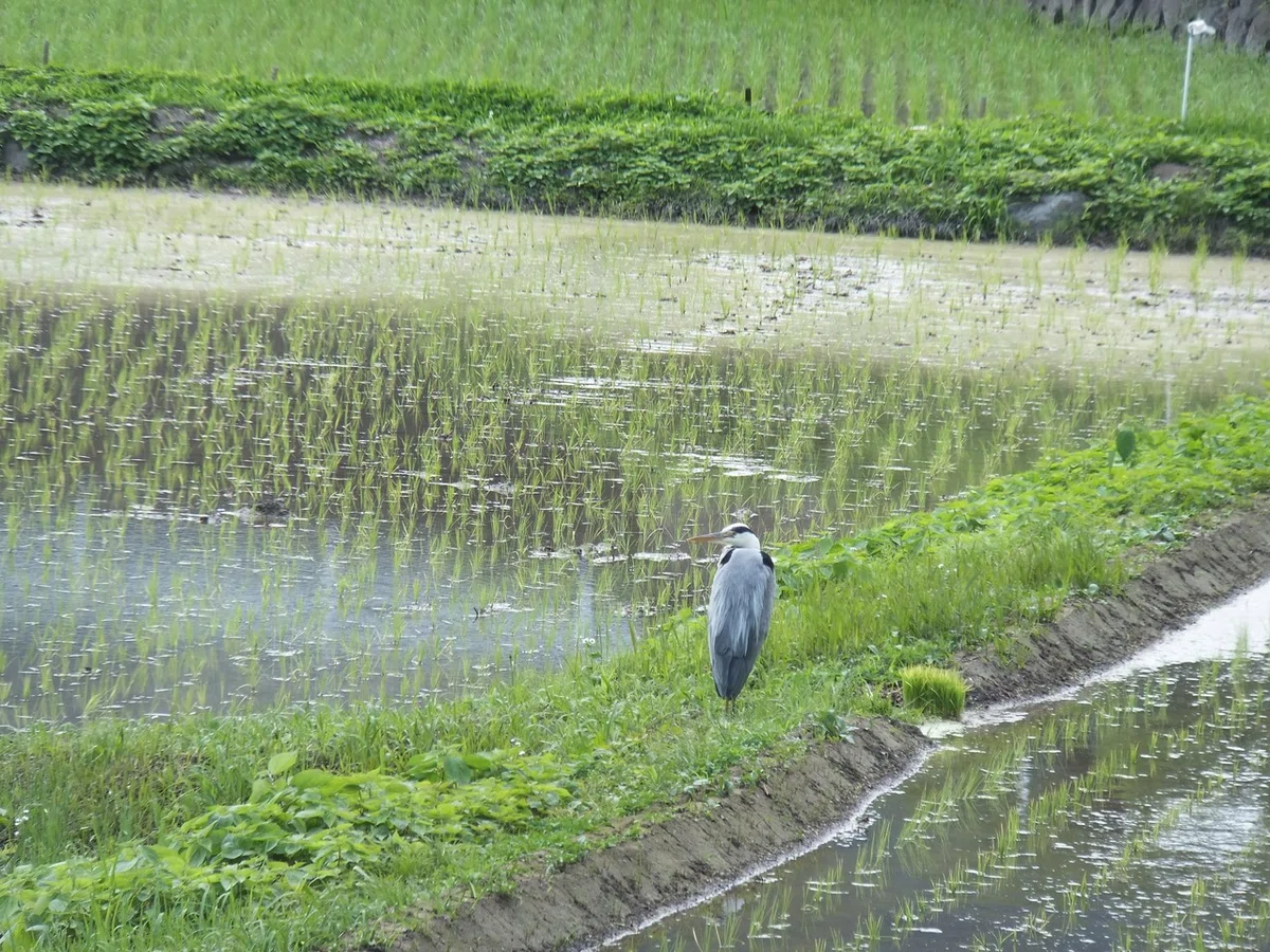 画像289
