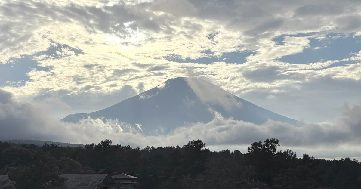 "What I want to do now" and "What I can do now"｜ひびき