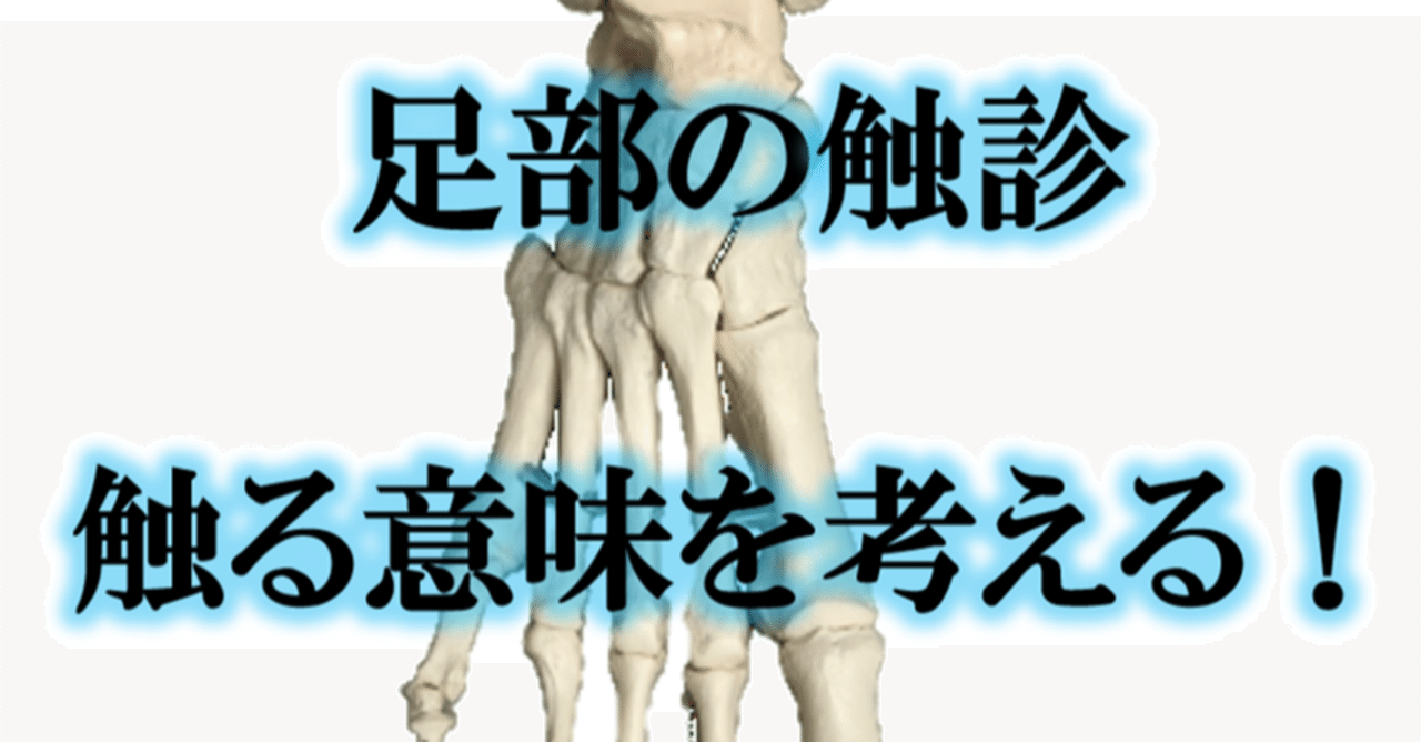 足部の触診 触る意味を考える Y K Note