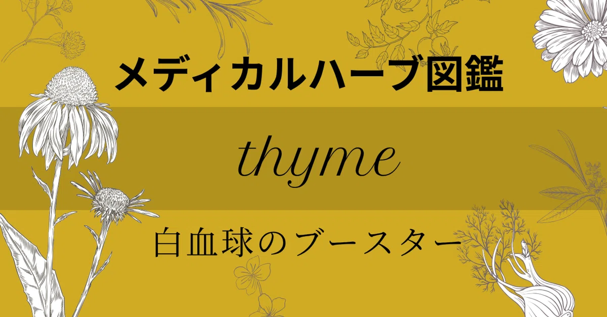 [Medical Herb Encyclopedia No. 19] Thyme | A 'Defensive Herb' that ...