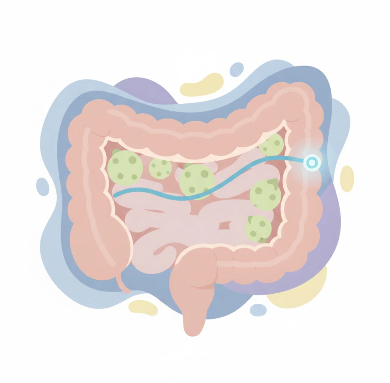 Even with the same chickpeas, the 'shape of the cells' changes the gut ...