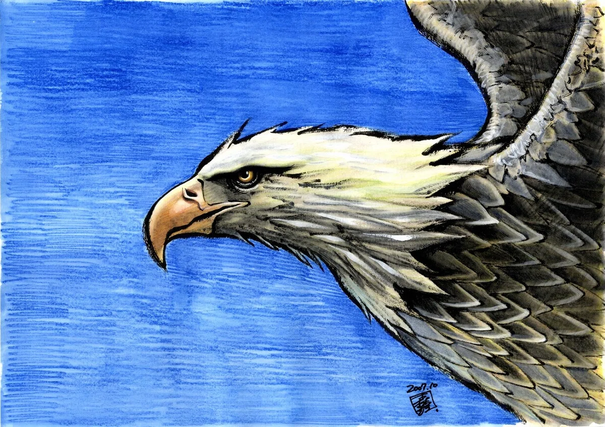 画像376