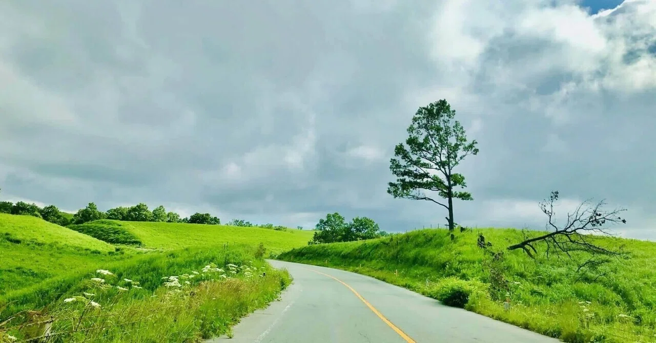 7 Useful Items for a Road Trip｜さくさくどらいぶ