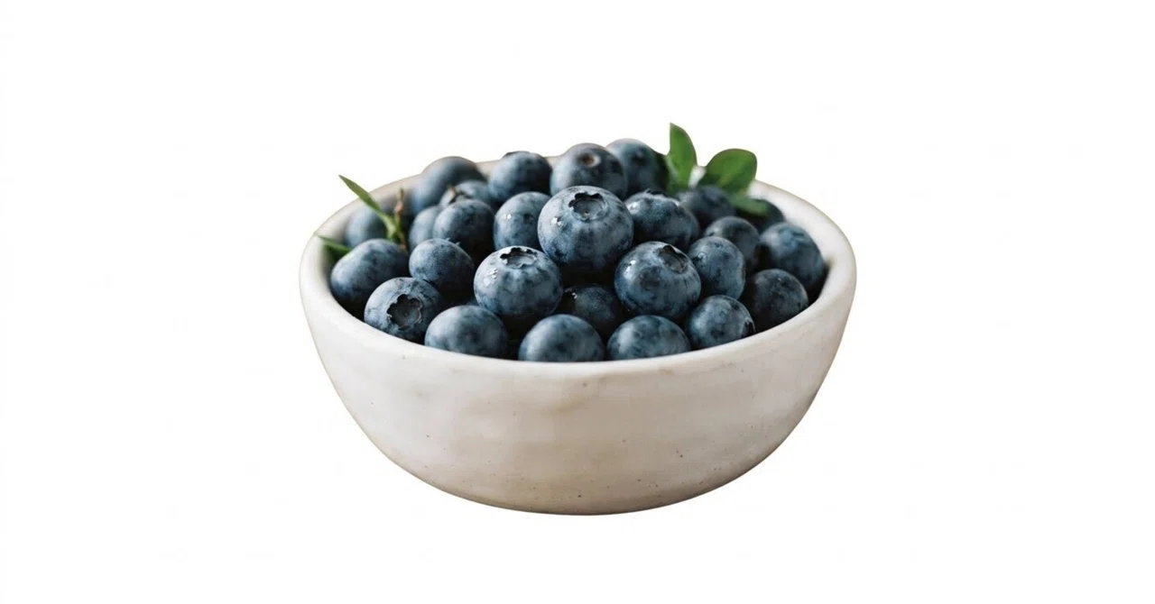 What is important in blueberry cultivation｜1％の幸せが届けば