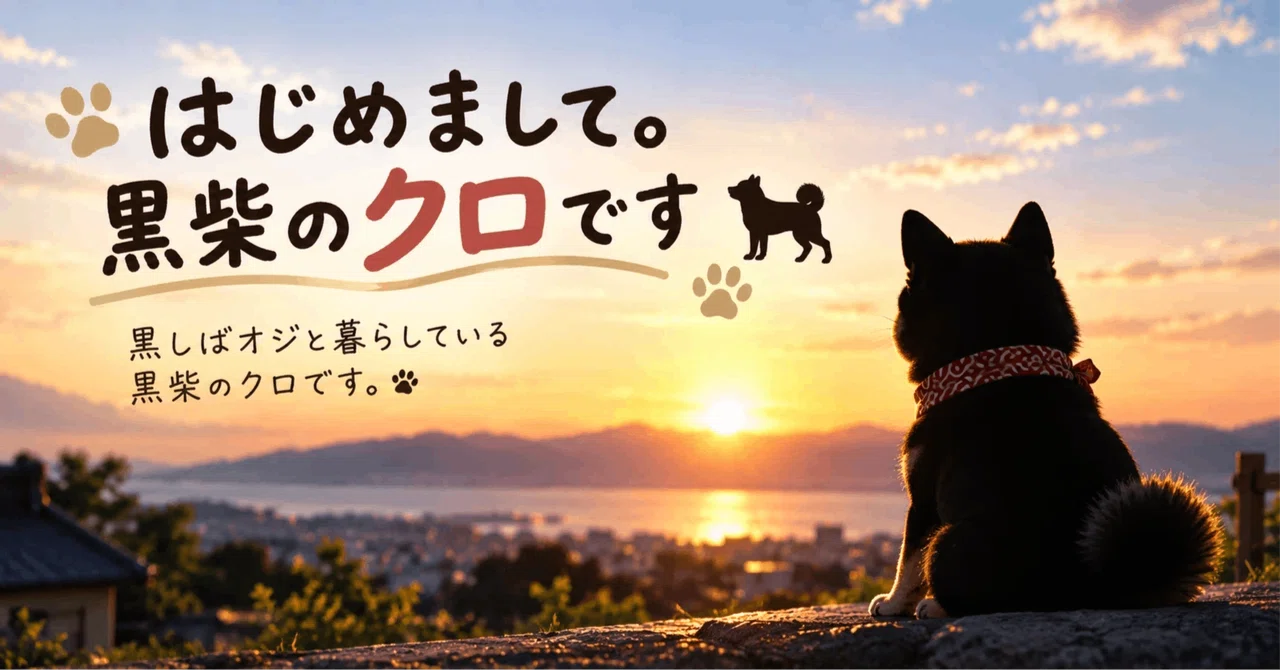 Kuro's Medical Record: Ophthalmology Edition - Cataracts and Ocular ...