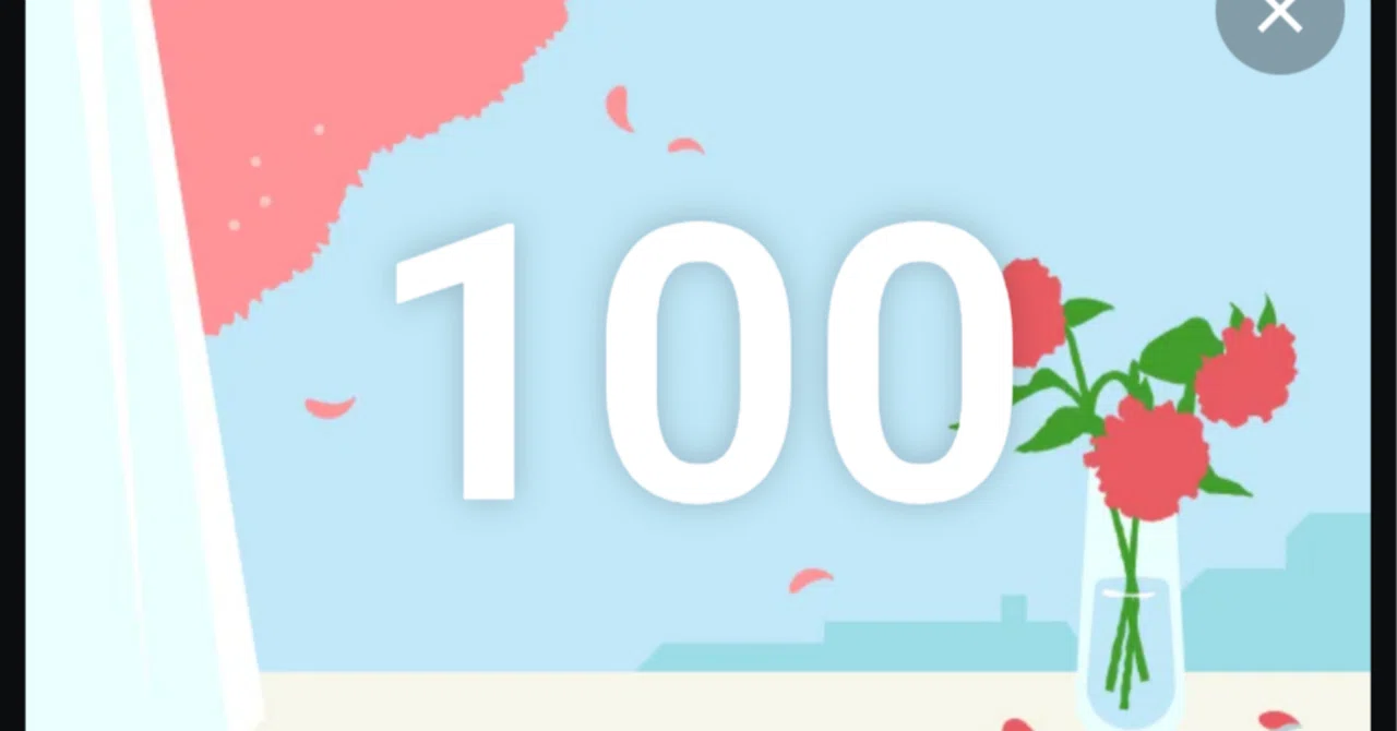 100 Days of Consecutive Posting!｜きばこ