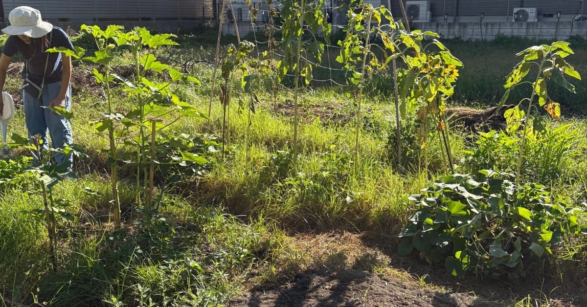 Community Farm Activities｜じゅんじ＠自然と旅と暮らしと