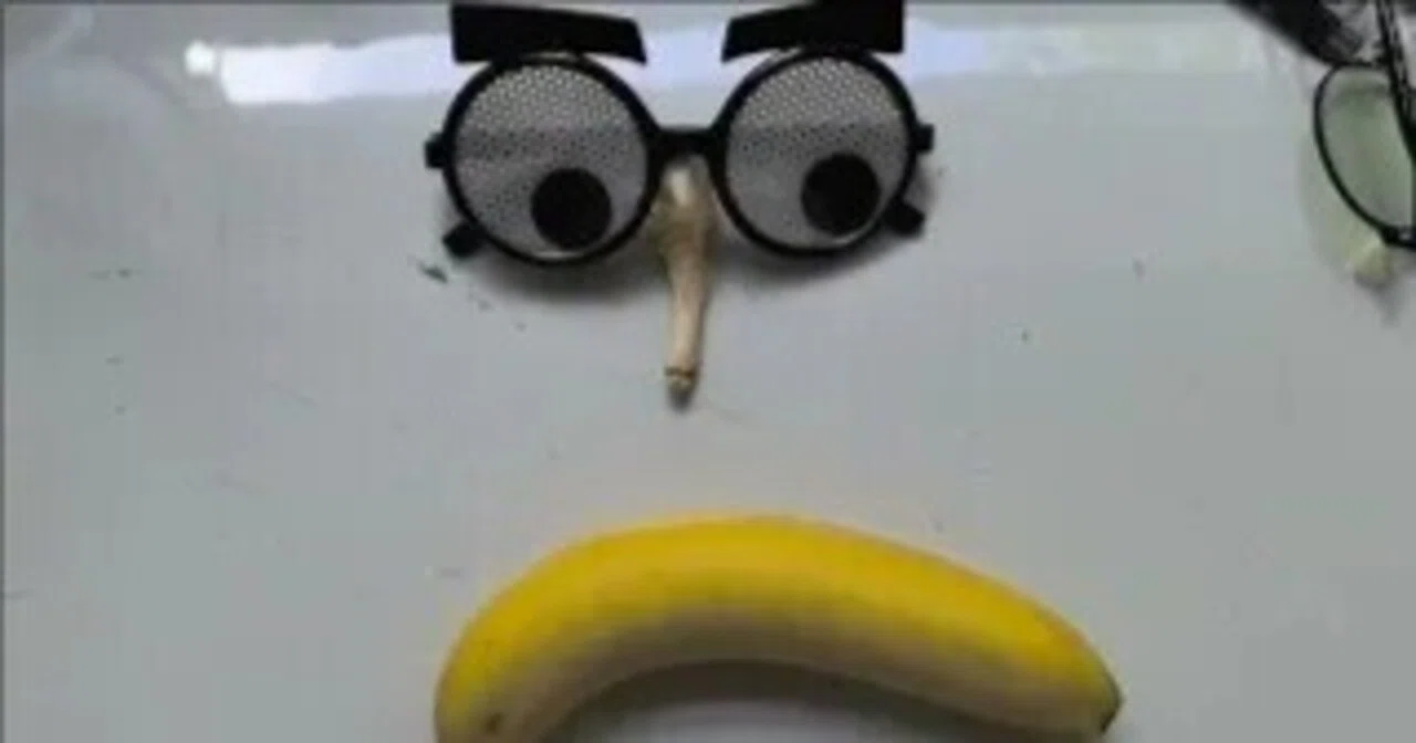 A Chinese high school student tries stop-motion 'face animation ...
