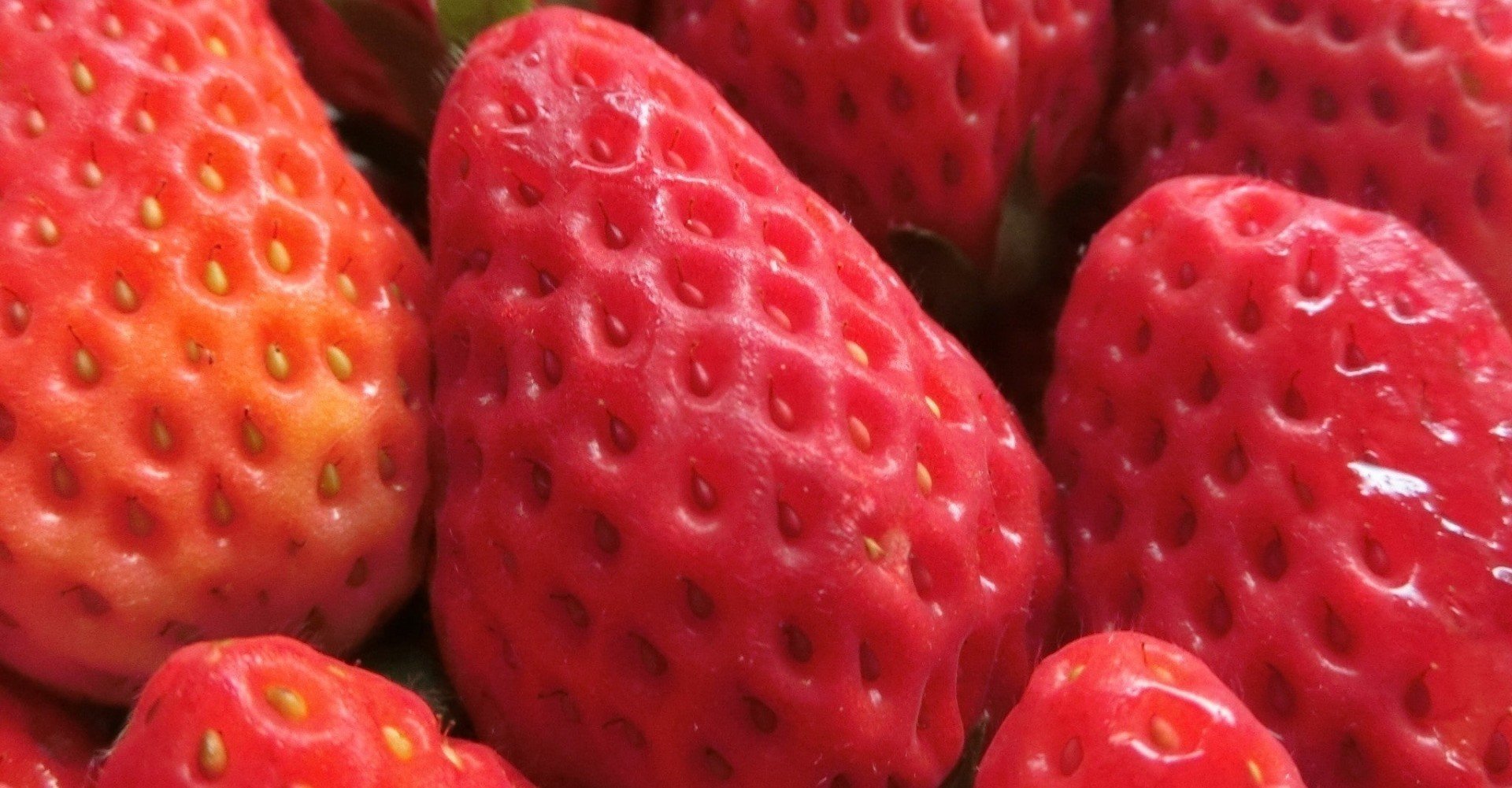 ぴえん ソノリテ Note