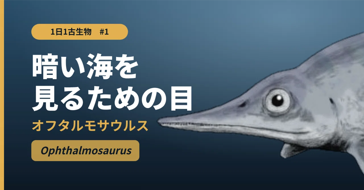 1 Paleontology a Day #1 | Why are Ophthalmosaurus eyes so big? 4 meters ...