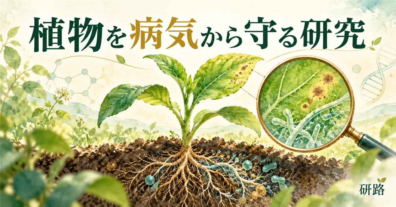 Research on Protecting Plants from Disease: Paths to Investigating ...