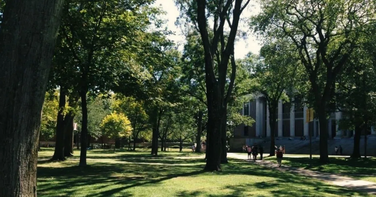 5 Key Points to Prioritize When Choosing an Overseas Graduate School｜ゼロ ...