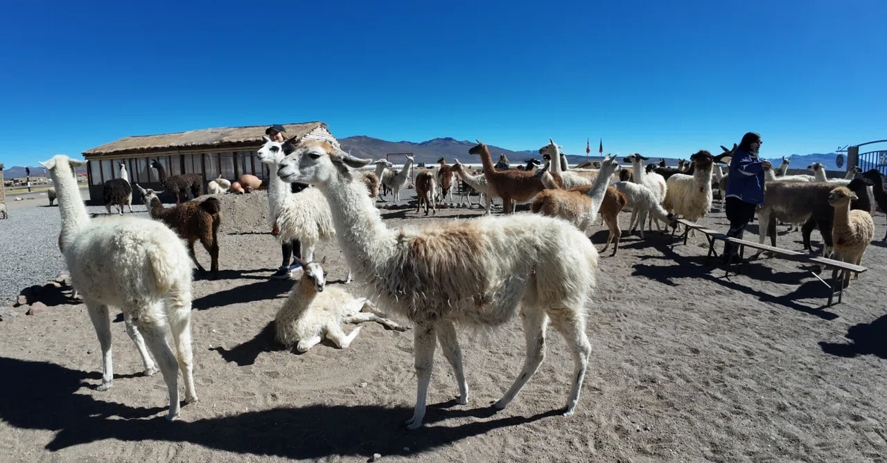 Solo Trip to Peru | Feeling the End of the World at Salinas Salt Lake ...