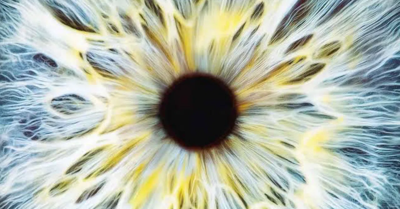 EYE of the : note 👁️ Additional verification of the 