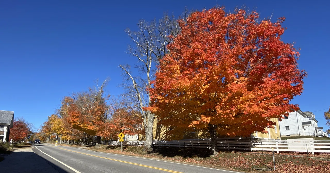 A Trip to Shaker Village 1｜毛糸