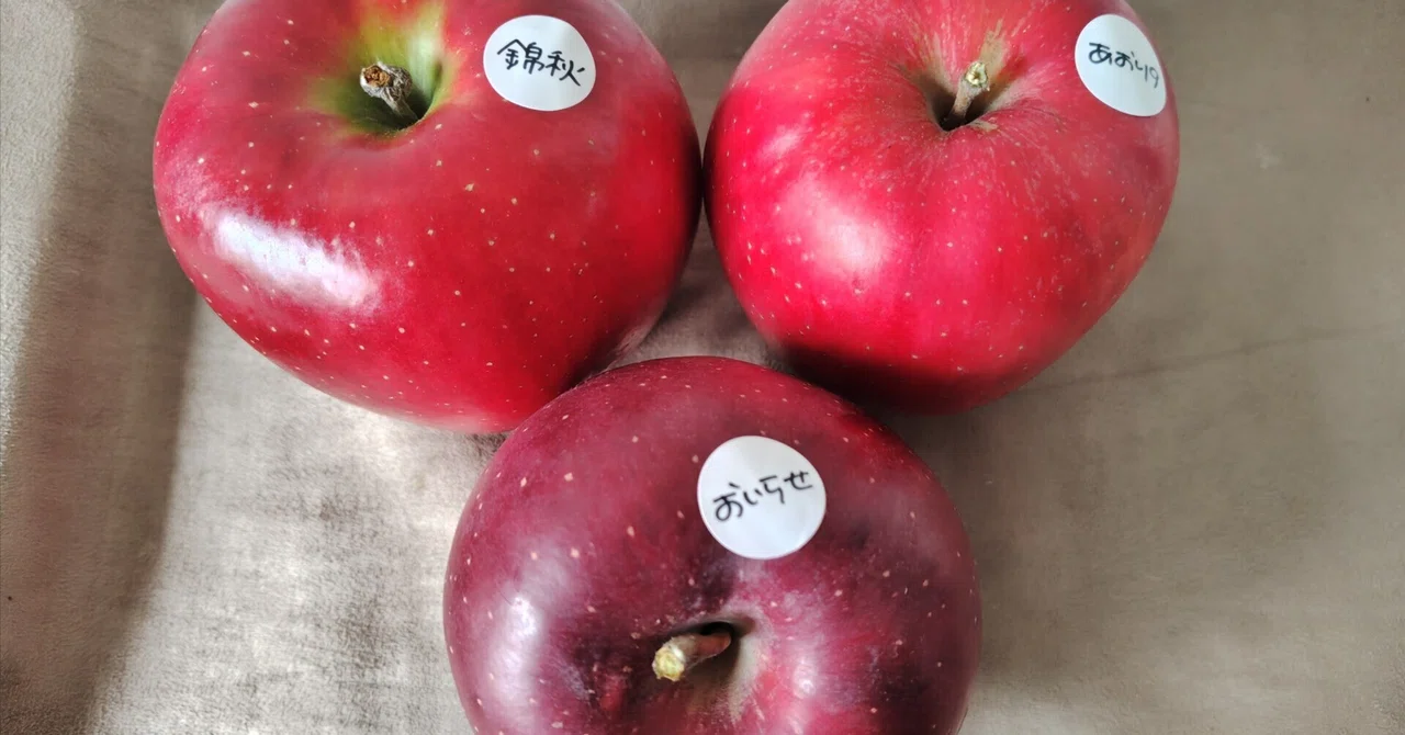 Apple Variety Guide: Aori 9, Oirase, and Kinshu｜ミカミアカネ